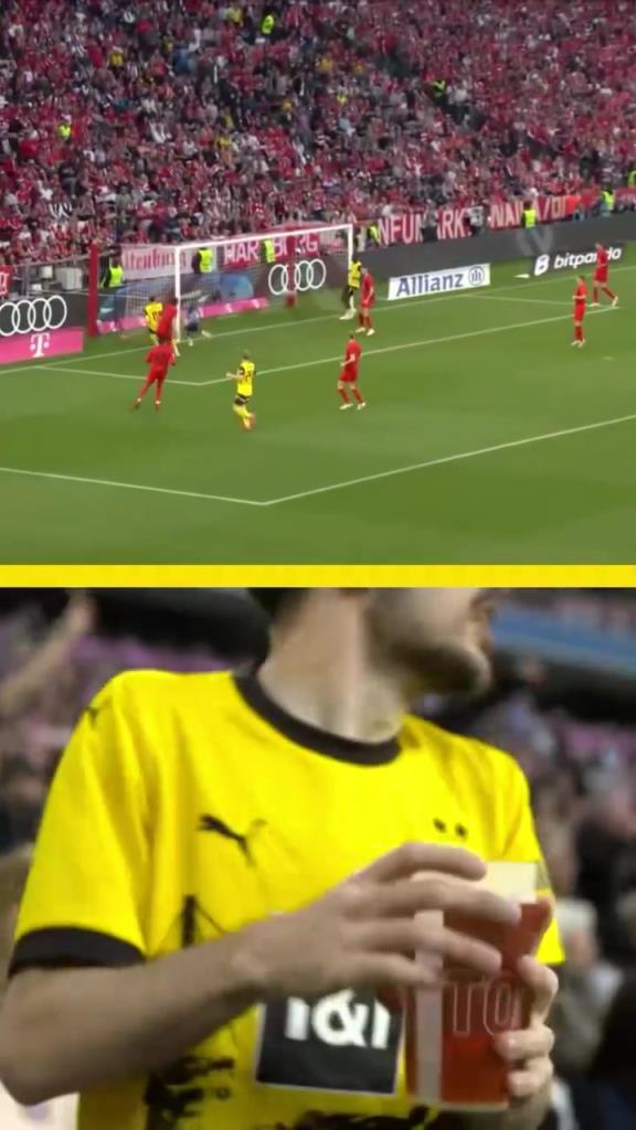 勇者無(wú)懼！這是真多特球迷！在拜仁球迷區(qū)一個(gè)人肆意慶祝！